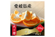 ＜ほろ苦くて甘酸っぱい＞＜訳あり＞甘夏 20kg＜H83-29＞【1557497】