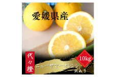 ＜初夏の味＞＜訳あり＞ニューサマーオレンジ 10kg＜F83-30＞【1557499】