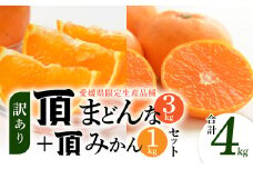 合計4kg!《頂まどんな》ご家庭用 3kg+《頂みかん》1kg!＜C31-41＞_ みかん ミカン まどんな マドンナ 柑橘 果物 くだもの フルーツ ふるーつ 訳あり 不揃い 規格外 家庭用 青果 希少 限定 頂 3kg おすすめ 【1556520】