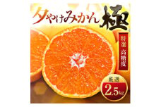 ＜太陽をたっぷり浴びた＞夕やけみかん＜極＞2.5kg＜A49-76＞【1557599】