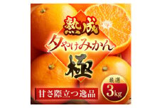 ＜完熟&熟成＞愛媛で育った夕やけみかん＜極＞3kg　※年明け発送＜C49-77＞【1557679】