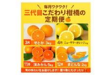 ＜発送月固定定期便＞柑橘＜みかん・まどんな・せとか・ニューサマーオレンジ＞＜H31-46＞全4回【4058612】