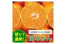 三代目の＜頂みかん＞7.5kg＜E31-48＞【1573267】