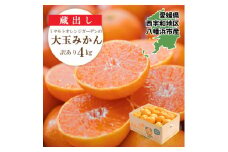 《数量限定》愛媛県西宇和区八幡浜産 蔵出し完熟大玉みかん 4kg＜訳あり＞＜D25-172＞【1583103】