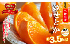 2026年2月発送開始　みずみずしい香り・柑橘の大トロ!「姫せとか」約3.5kg＜D39-60＞【1583778】