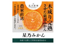＜三つ星ブランド＞星乃みかん(4.5kg)＜B45-90＞【1582444】