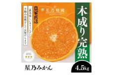 ＜三つ星ブランド＞星乃みかん(4.5kg)＜B45-90＞【1582444】