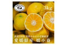 ＜黄色いのに驚きの甘さ＞媛小春 3kg＜老舗農家厳選＞＜E70-61＞【1592112】