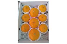 せとか＜家庭用＞約3kg＜D76-16＞【1593330】