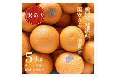 ＜まるで食べるジュース!越冬完熟品＞愛媛産 訳あり 清見オレンジ 5kg＜C20-33＞【1594859】