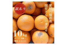 ＜まるで食べるジュース!越冬完熟品＞愛媛産 訳あり 清見オレンジ 10kg＜F20-34＞【1594861】