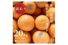 ＜まるで食べるジュース!越冬完熟品＞愛媛産 訳あり 清見オレンジ 20kg＜H20-35＞【1594863】