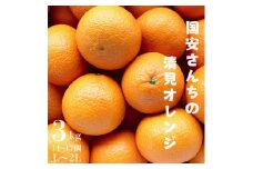 ＜まるで食べるジュース!越冬完熟品＞愛媛産 清見オレンジ 3kg＜C20-39＞【1594850】