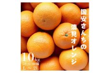 ＜まるで食べるジュース!越冬完熟品＞愛媛産 清見オレンジ 10kg＜G20-41＞【1594852】