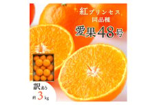 ＜2026年発送＞「紅プリンセス」と同品種!愛媛果試48号 3kg＜訳あり＞＜E25-174＞_ みかん 訳あり 蜜柑 ミカン 愛媛 柑橘 かんきつ 希少 果物 くだもの フルーツ デザート 3kg 甘い おいしい 産直 産地直送 愛媛県 愛媛果試48号 送料無料 【1600644】
