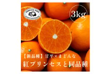 《新品種》「甘平×まどんな」　愛果48号〈紅プリンセスと同品種〉＜3kg＞＜家庭用＞＜E70-63＞【1602936】
