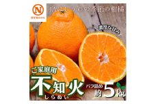 JAにしうわ「不知火(しらぬひ)バラ詰め」約5kg(家庭用)＜C08-95＞【1606124】