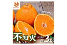 JAにしうわ「不知火(しらぬひ)バラ詰め」約3kg＜C08-96＞【1606131】