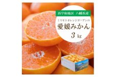 ＜2025年11月より順次発送＞何個でも食べられる!八幡浜産 愛媛みかん3kg＜C25-175＞【1604463】