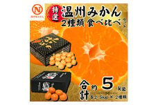 特選温州みかん2種類食べ比べ(味ピカ・蜜る)各2.5kg×2箱＜E08-94＞【1604565】