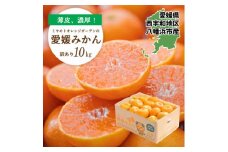 ＜2025年11月より順次発送＞愛媛県八幡浜市産 愛媛みかん10kg＜訳あり＞＜D25-177＞【1606099】