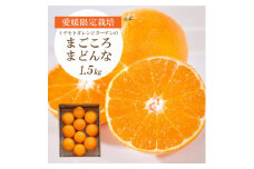 ＜2025年11月より順次発送＞紅まどんなと同品種 愛媛果試28号 1.5kg＜C25-178＞【1606293】