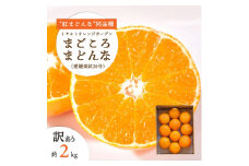 ＜2025年11月より順次発送＞＜訳あり＞紅まどんなと同品種!愛果28号 2kg＜C25-179＞【1606309】