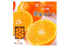 ＜2026年発送＞甘平×まどんな「紅プリンセス」と同品種!愛媛果試48号 2kg＜E25-181＞【1607364】