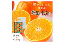 ＜2026年発送＞「紅プリンセス」と同品種!愛媛果試48号 贈答箱入り 約2kg＜E25-182＞【1607366】