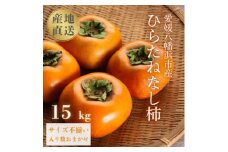 《秋の味覚 種なしで食べやすい》 ひらたねなし柿 15kg (7.5kg×2箱)＜H20-40＞【1594098】