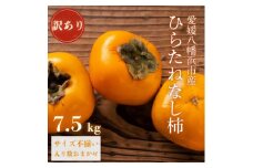 《秋の味覚 種なしで食べやすい》 訳あり ひらたねなし柿 7.5kg＜D20-36＞【1594868】