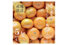 ＜創業85年 親子4代 愛媛みかん 一筋＞愛媛八幡浜産 極早生みかん 5kg＜C20-43＞【1594908】
