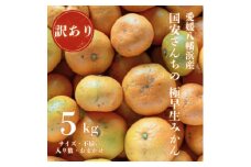＜創業85年 親子4代 愛媛みかん 一筋＞愛媛八幡浜産 訳あり 極早生みかん 5kg＜C20-46＞【1594915】