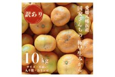 ＜創業85年 親子4代 愛媛みかん 一筋＞愛媛八幡浜産 訳あり極早生みかん 10kg＜D20-47＞【1594916】