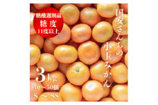 ＜糖度11度以上 酸1.0以下 糖酸選別品＞小玉 愛媛みかん 3kg＜C20-57＞【1595877】