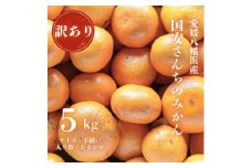 ＜創業85年 親子4代 愛媛みかん 一筋＞訳あり 愛媛みかん 5kg＜C20-51＞【1595879】