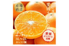 ＜まるでゼリー!ぷるぷる食感 冬ギフトに一番人気!＞愛媛まどんな 贈答用約2.5kg＜F20-52＞【1595881】