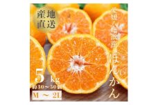 ＜南国を感じさせる独特の香り＞愛媛ポンカン 5kg＜D20-53＞【1595883】