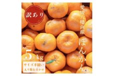 ＜南国を感じさせる独特の香り＞訳あり 愛媛ポンカン 5kg＜C20-54＞【1595884】