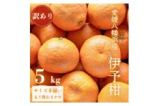 ＜爽やか香りと柔らかジューシーな果肉＞愛媛八幡浜産 訳あり 宮内伊予柑 5kg＜C20-56＞【1595886】