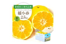 ＜2026年1月より順次発送＞希少柑橘 媛小春(ひめこはる) 2.5kg＜訳あり＞＜D25-183＞【1608026】