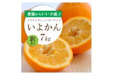 ＜2026年発送＞愛媛から「いい予感」♪ジューシー果肉 いよかん7kg＜訳あり＞＜C25-186＞【1608865】