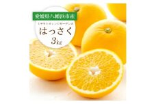 ＜2026年2月以降発送＞ぷりぷり!酸味さわやか 八朔(はっさく)3kg＜C25-187＞【1609975】