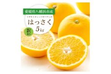 ＜2026年発送＞ぷりぷり!酸味さわやか 八朔(はっさく) 5kg＜訳あり＞＜C25-188＞【1609989】