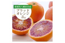 ＜2026年発送＞愛媛県八幡浜市産 ブラッドオレンジ(タロッコ)3kg＜C25-189＞【1610009】
