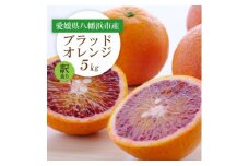 ＜2026年発送＞愛媛県八幡浜市産 ブラッドオレンジ(タロッコ)5kg＜訳あり＞＜C25-190＞【1610024】