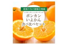 愛媛の新春柑橘を食べ比べ! ポンカン・いよかんセット便＜訳あり＞＜C25-194＞＜複数個口で配送＞【4066395】