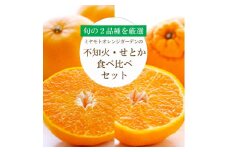 愛媛の人気2品種をセットに!せとか・不知火 食べ比べ＜訳あり＞＜D25-195＞＜複数個口で配送＞【4066396】