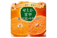 愛媛の人気柑橘をセットに!せとか・甘平 食べ比べセット＜訳あり＞＜F25-196＞＜複数個口で配送＞【4066397】