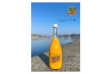 100%ストレートみかんジュース「MANDARIN DEW」720ml×6本＜F89-3＞【1607185】